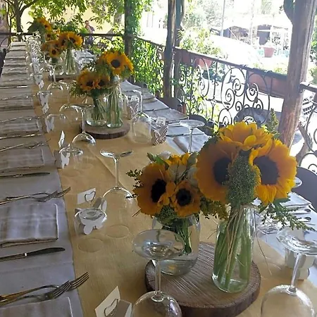Bed & Breakfast Casa Valentone 3*